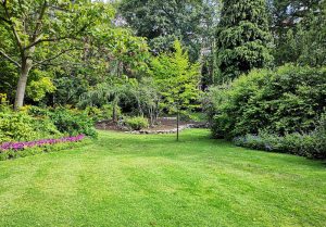 Optimiser l'expérience du jardin à Montoison